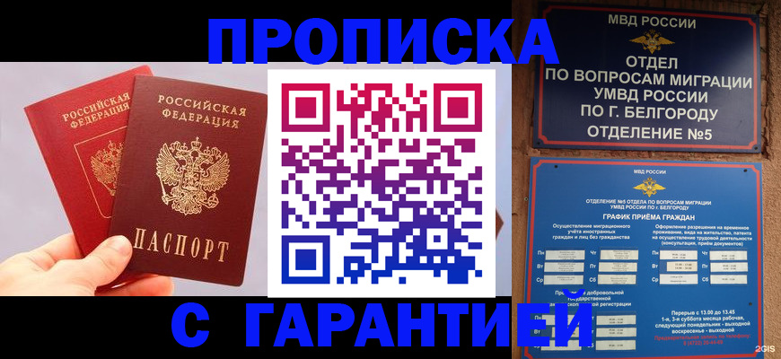 прописка 2025 в Мирном